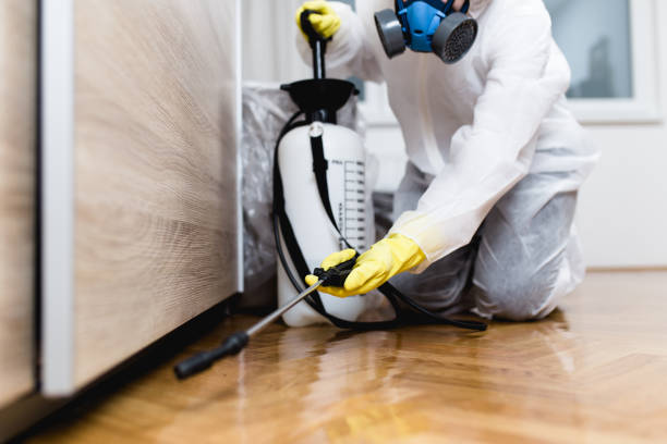 Best Cockroach Control Services  in Cheree, OK