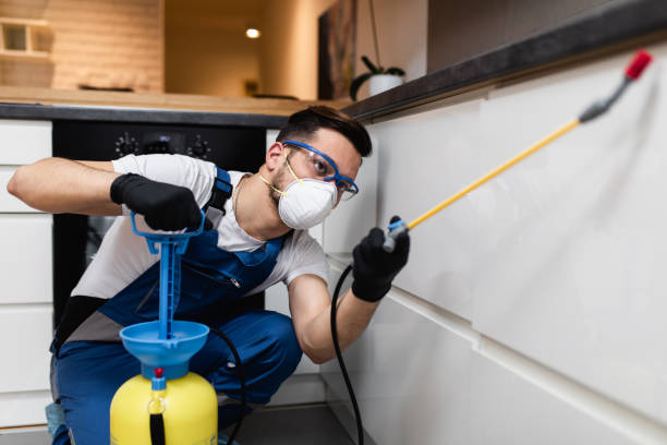 Best Termite Control Services  in Cheree, OK