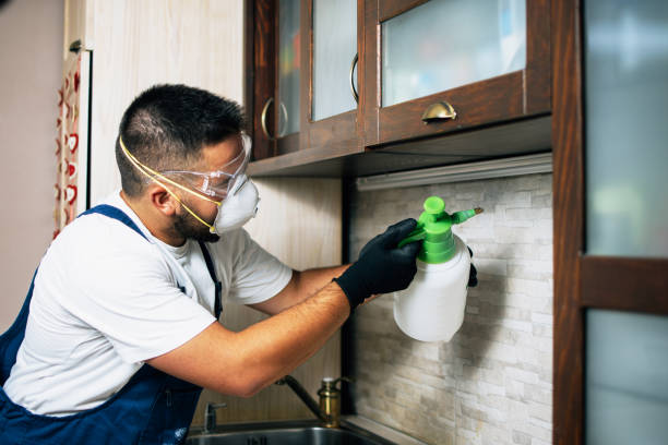 Best Commercial Pest Control Services  in Cheree, OK