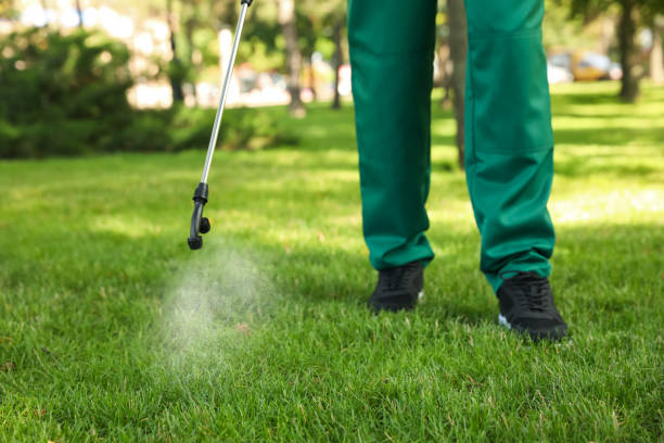 Trusted Cherokee, OK Pest Control Experts