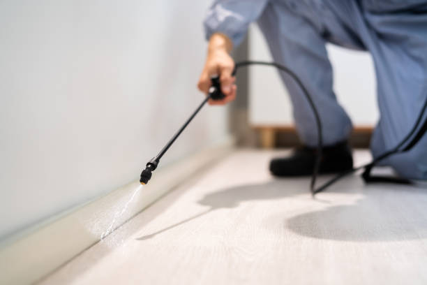 Best Local Pest Control Services  in Cheree, OK