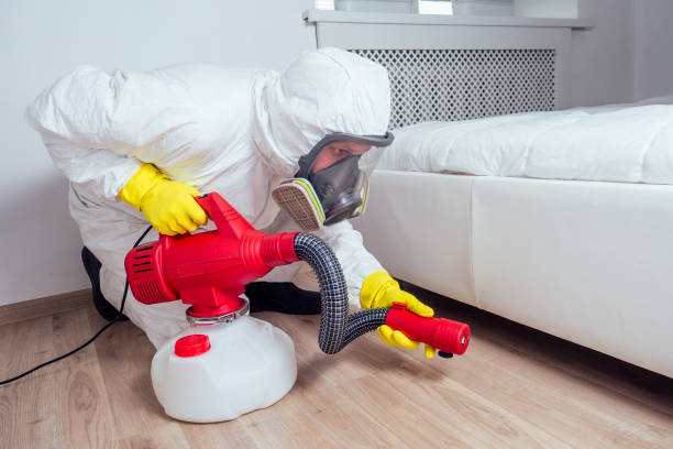 Best Flea Control Services  in Cheree, OK