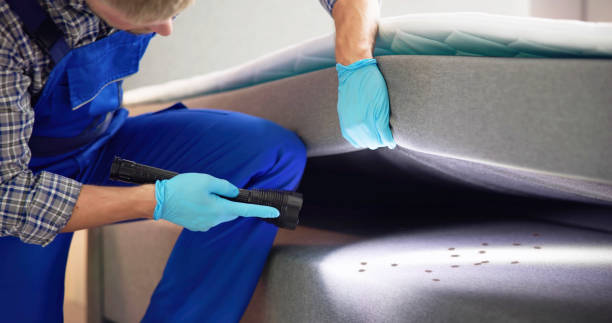 Best Pest Control Near Me in Cherokee, OK