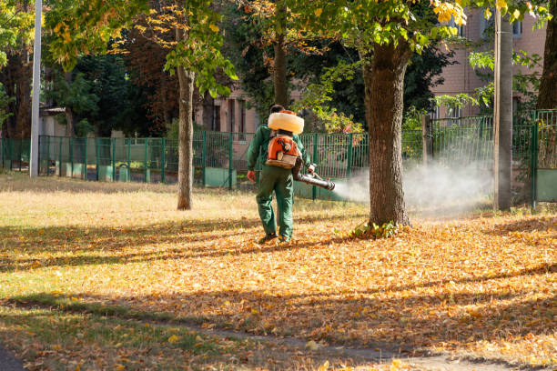 Pest Control Cost in Cherokee, OK