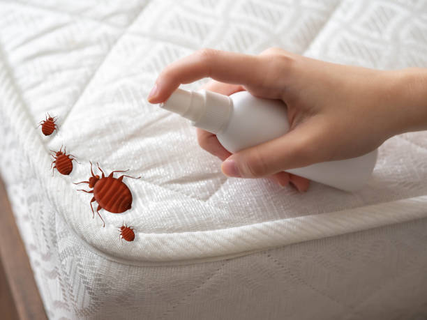 Best Pest Inspection Near Me  in Cheree, OK